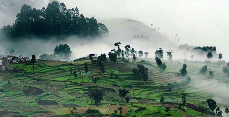 Kodaikanal travel